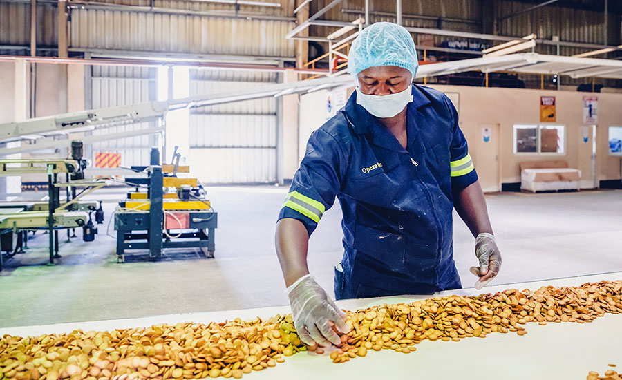 FoodSafe Certifications International 20 - Certified Food Safety internal Auditor Course - Foodsafe Certified Courses - FoodSafe Certifications International